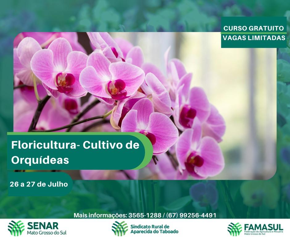 Sindicato Rural disponibiliza curso gratuito de cultivo de orquídeas