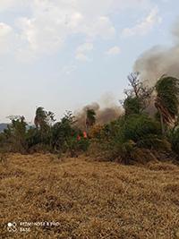 Operação Hafesto: Militares de Aparecida do Taboado integram equipe de combate a incêndio no Pantanal