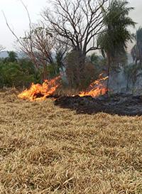 Operação Hafesto: Militares de Aparecida do Taboado integram equipe de combate a incêndio no Pantanal